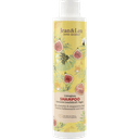 jean-len-sampun-300-ml-boyali-saclar