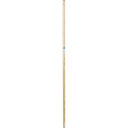 fs-supurge-agaci-1ed