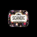 scandic-mint-ciyelek