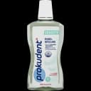 prokudent-agiz-yaxalayicisi-500-ml-sensitive