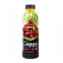 cappy-meyve-siresi-pet-500-ml-albali
