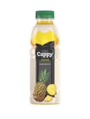 cappy-meyve-siresi-pet-500-ml-ananas