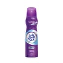 lady-speed-stick-deo-spray-150-ml-cloudy-fresh